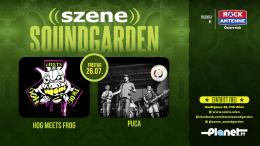 Logo HOG MEETS FROG | PUCA