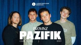 Logo PROVINZ