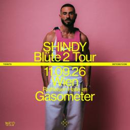 Logo SHINDY