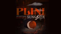 Logo PLINI